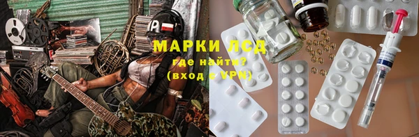 мяу мяу мука Баксан