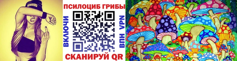 Галлюциногенные грибы Psilocybe  купить закладку  Олонец 